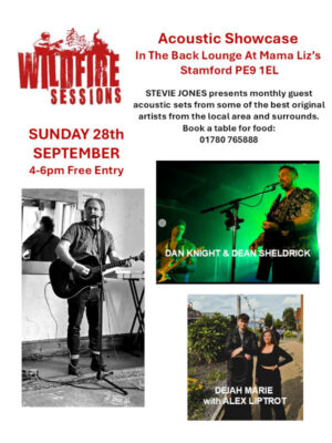 Sunday  September 28th - Mama Liz’s Back Lounge - The Wildfire Sessions