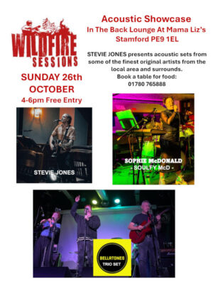 Sunday October 26th - Mama Liz’s Sunday Sessions Presents - Wildfire Sessions