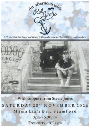 Saturday November 28th - Mama Liz’s Back Lounge - Rob Lynch // Stevie Jones